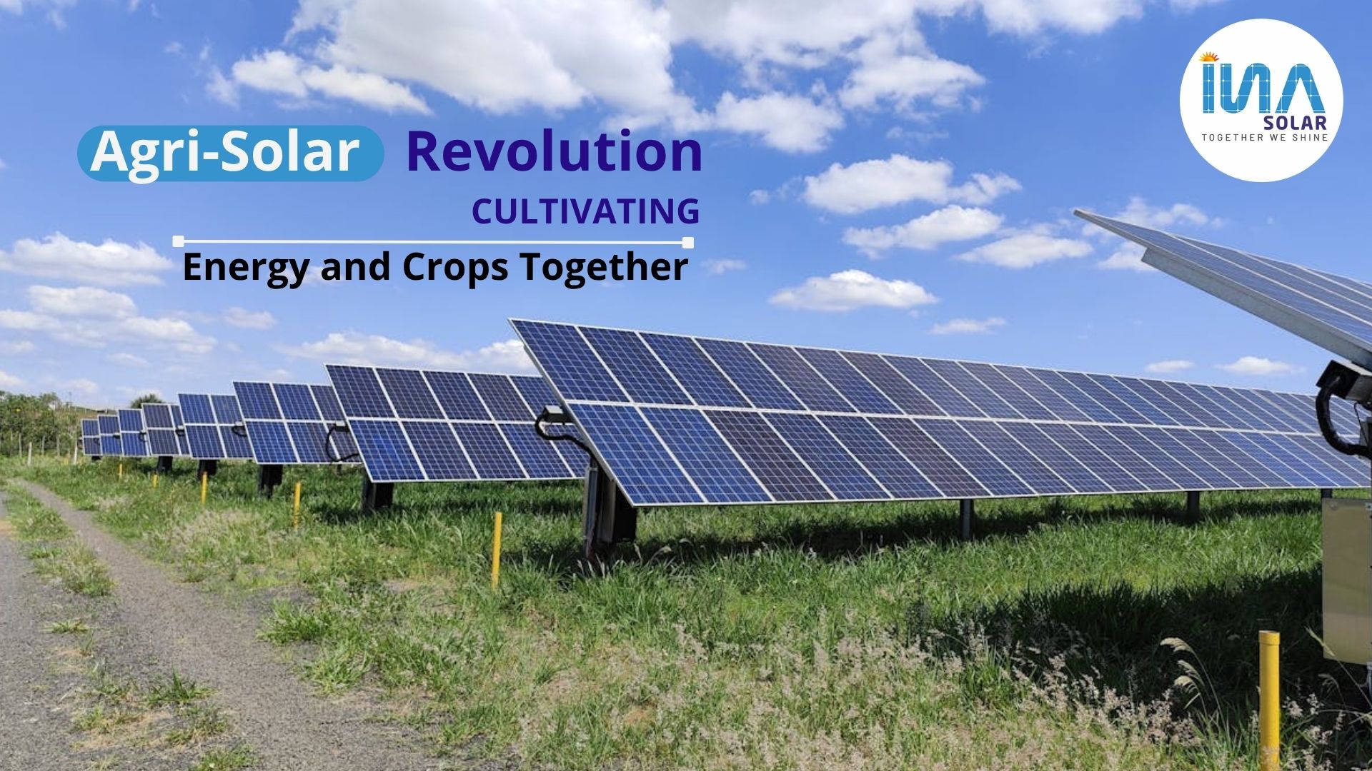 Agri-Solar Revolution: Cultivating Energy and Crops Together